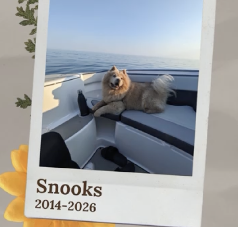 Remembering Snooks