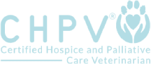 Logo consisting of a simplified globe design in light blue, with horizontal and vertical lines intersecting. To the right of the globe, the word "wordpress" is written in lowercase letters, also in light blue. Ideal for a vet's blog or a veterinarian's website.