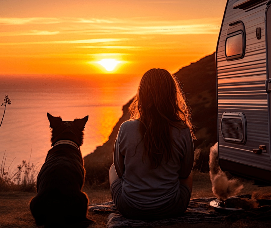 A person with long hair sits beside a dog, both facing a vibrant sunset over the ocean. They are outside a camper van, perched on a cliffside, enjoying the serene view. The veterinarian's presence adds an extra layer of comfort and care to this tranquil moment of connection with nature.