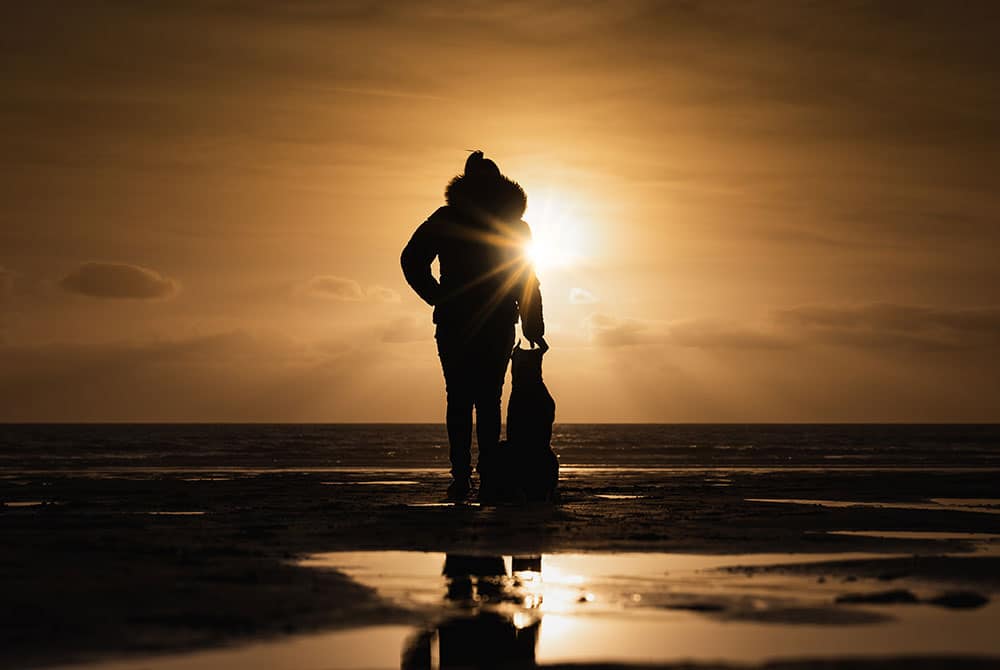 Silhouette of a person and a dog standing on a beach at sunset. The sun is low on the horizon, creating a warm, golden glow. Reflective puddles dot the sand, adding to the serene atmosphere.